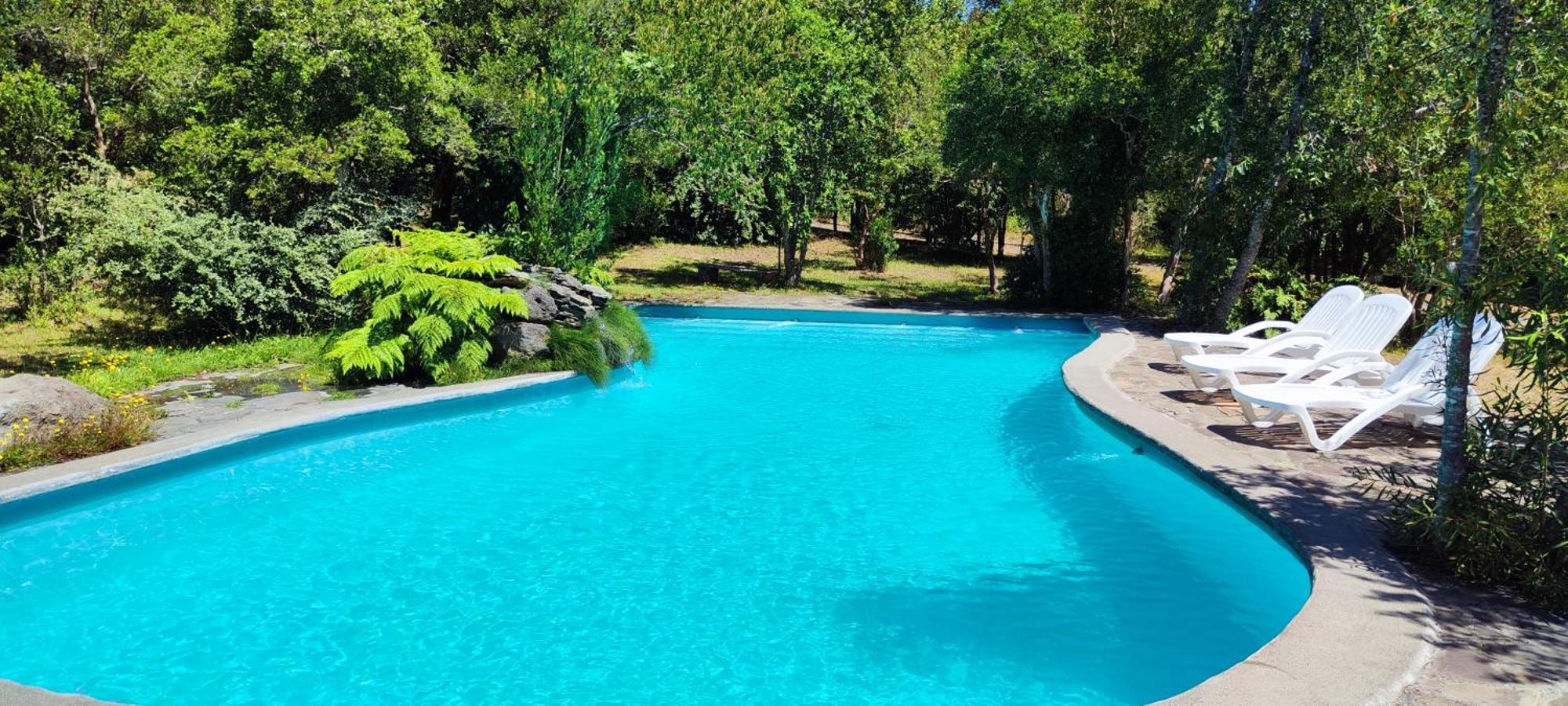 Bambu Lodge Pucón المظهر الخارجي الصورة