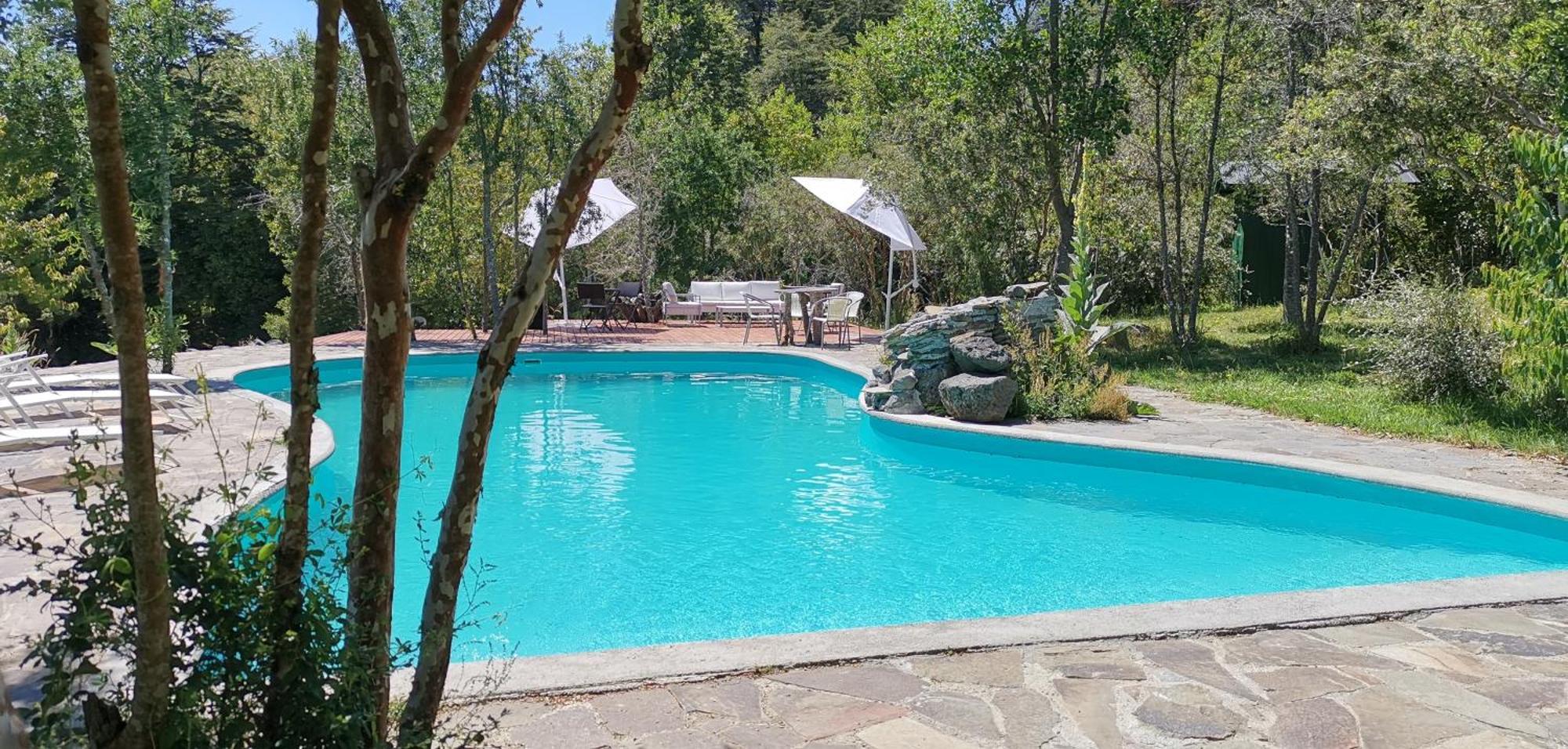 Bambu Lodge Pucón المظهر الخارجي الصورة